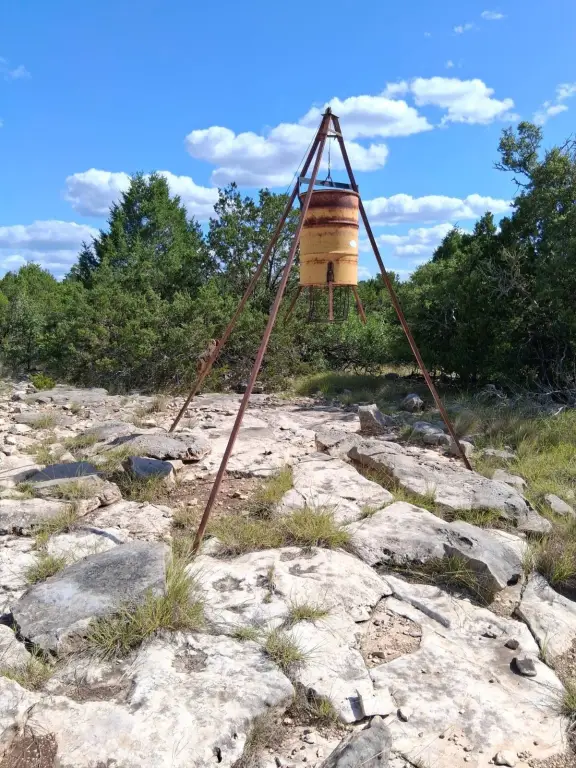 Picture 41