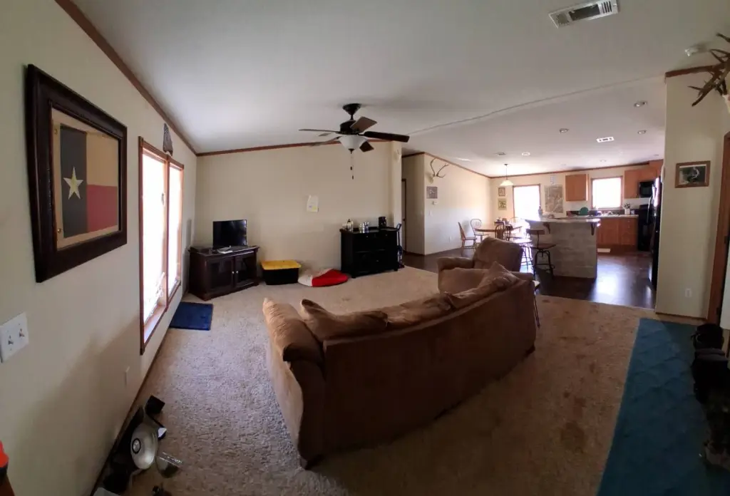 Picture 19