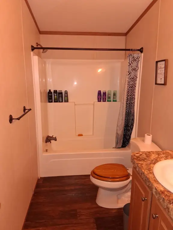 Picture 16