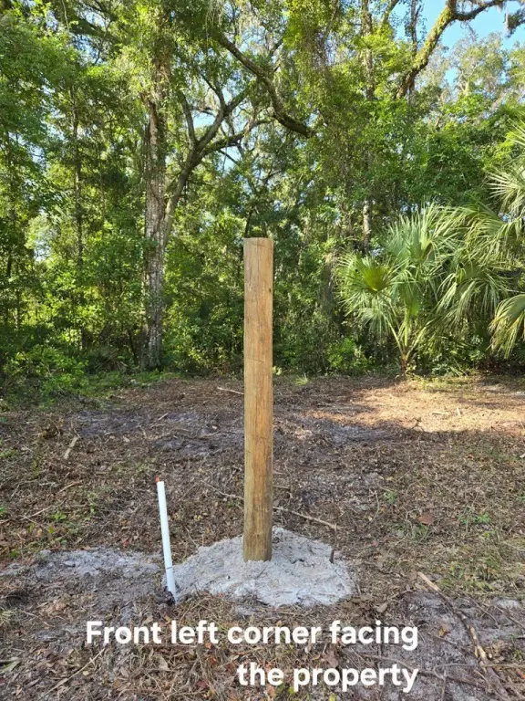 Picture 20