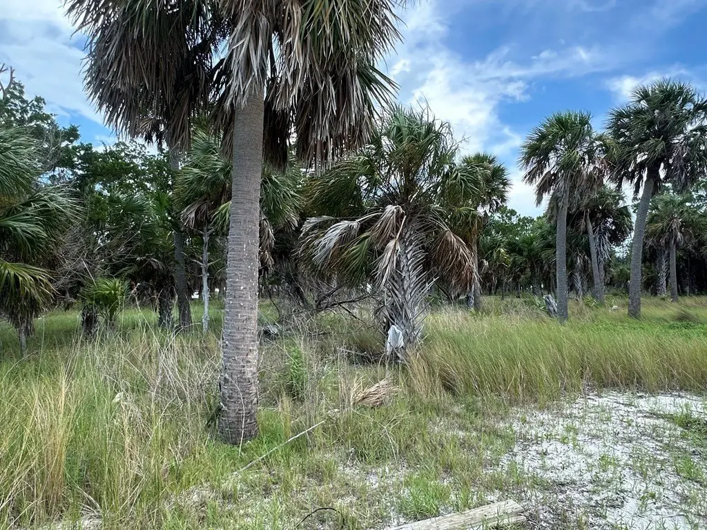 Picture 20