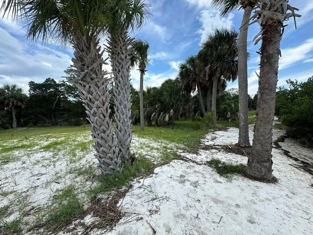 Picture 22