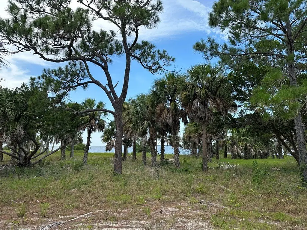 Picture 25