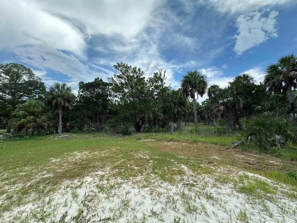 Picture 23