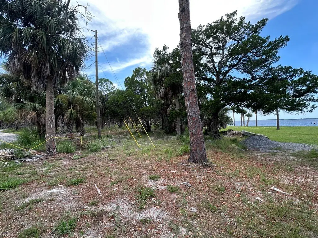Picture 5