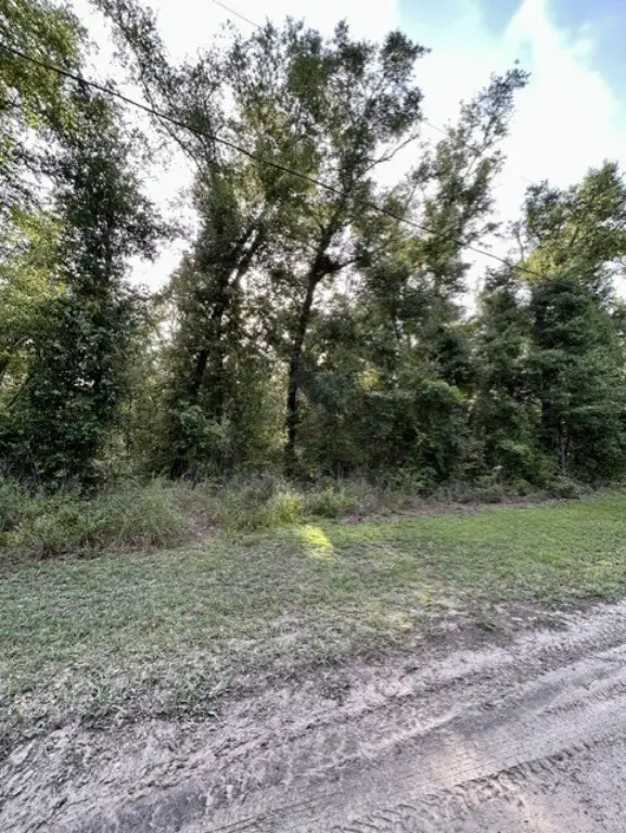 Picture 12