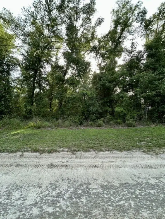 Picture 11