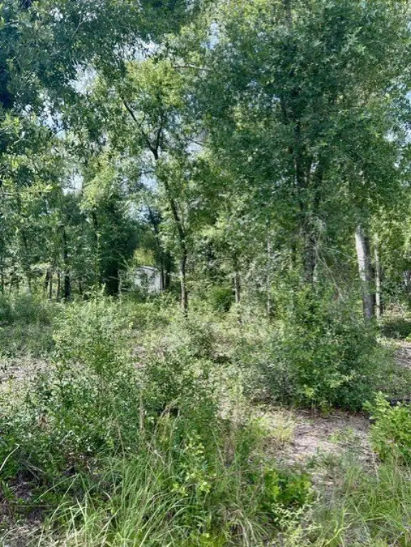 Picture 3