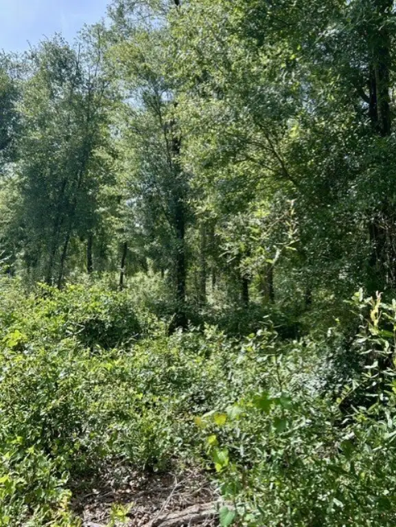 Picture 7