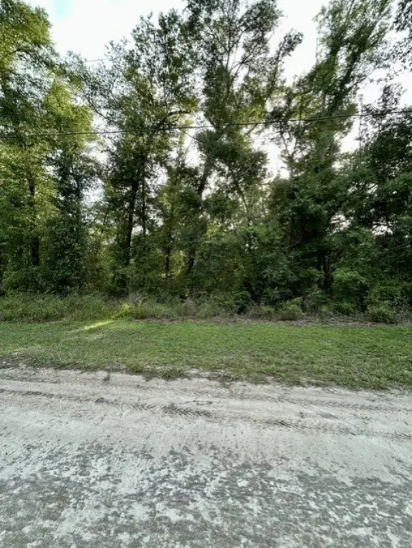Picture 10