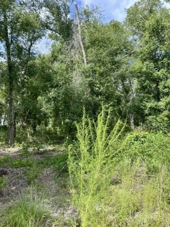 Picture 4
