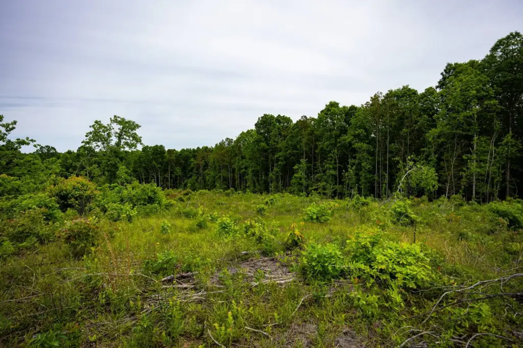 Picture 34