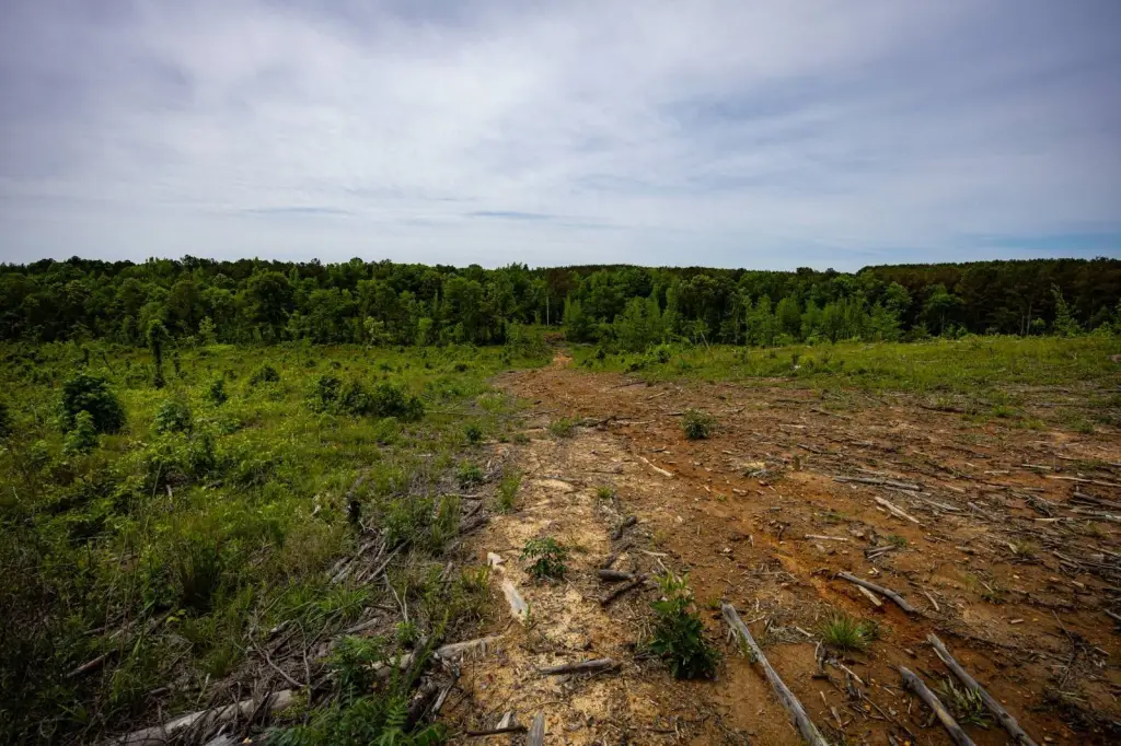 Picture 30