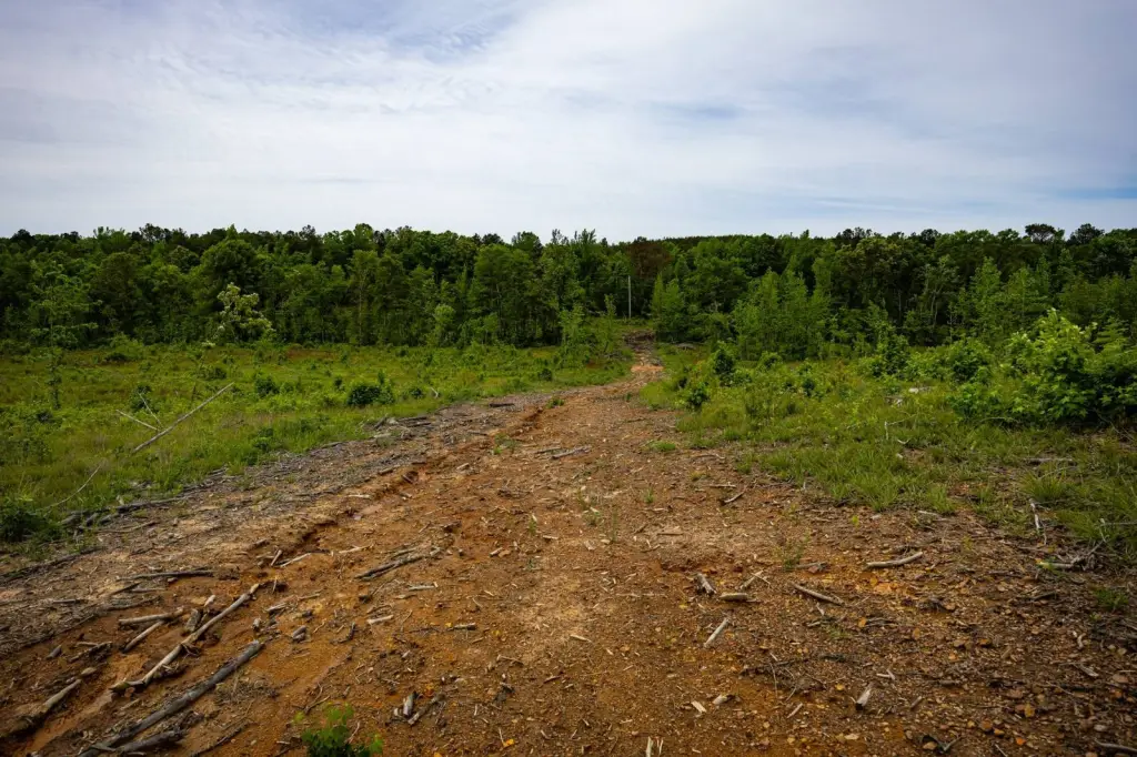 Picture 10