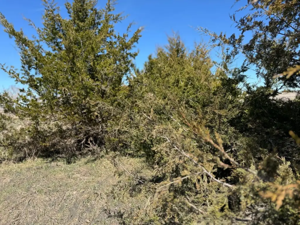 Picture 18