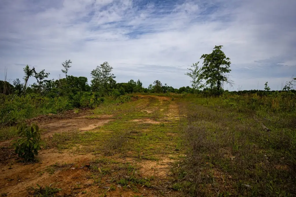 Picture 42
