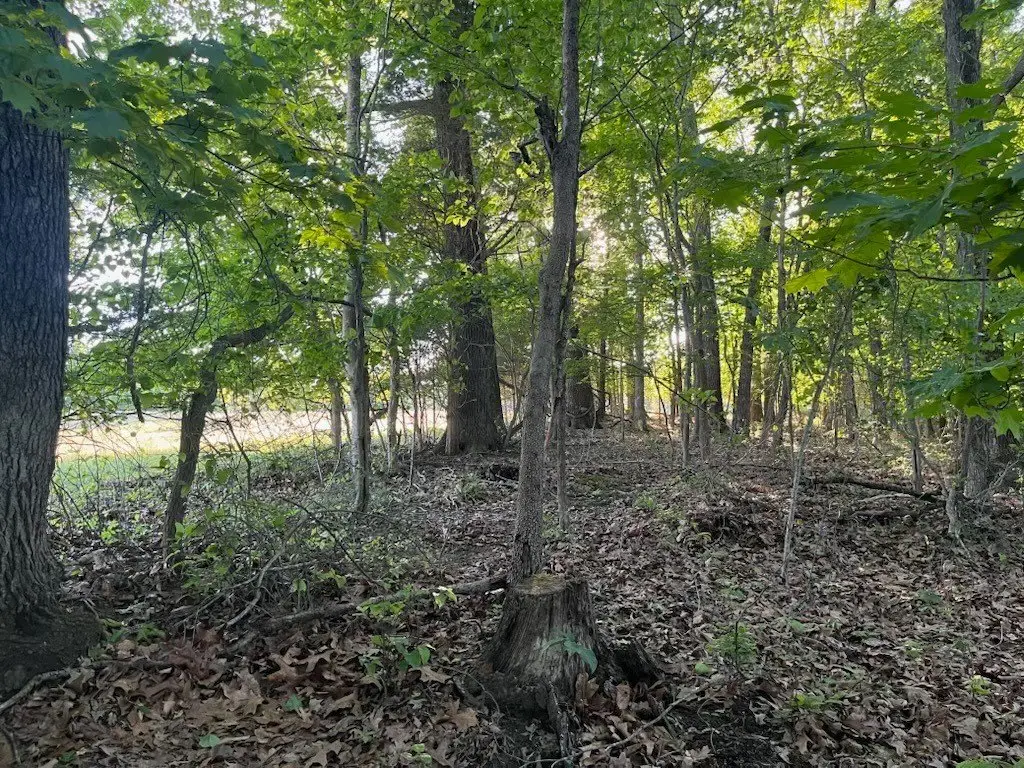 Picture 6