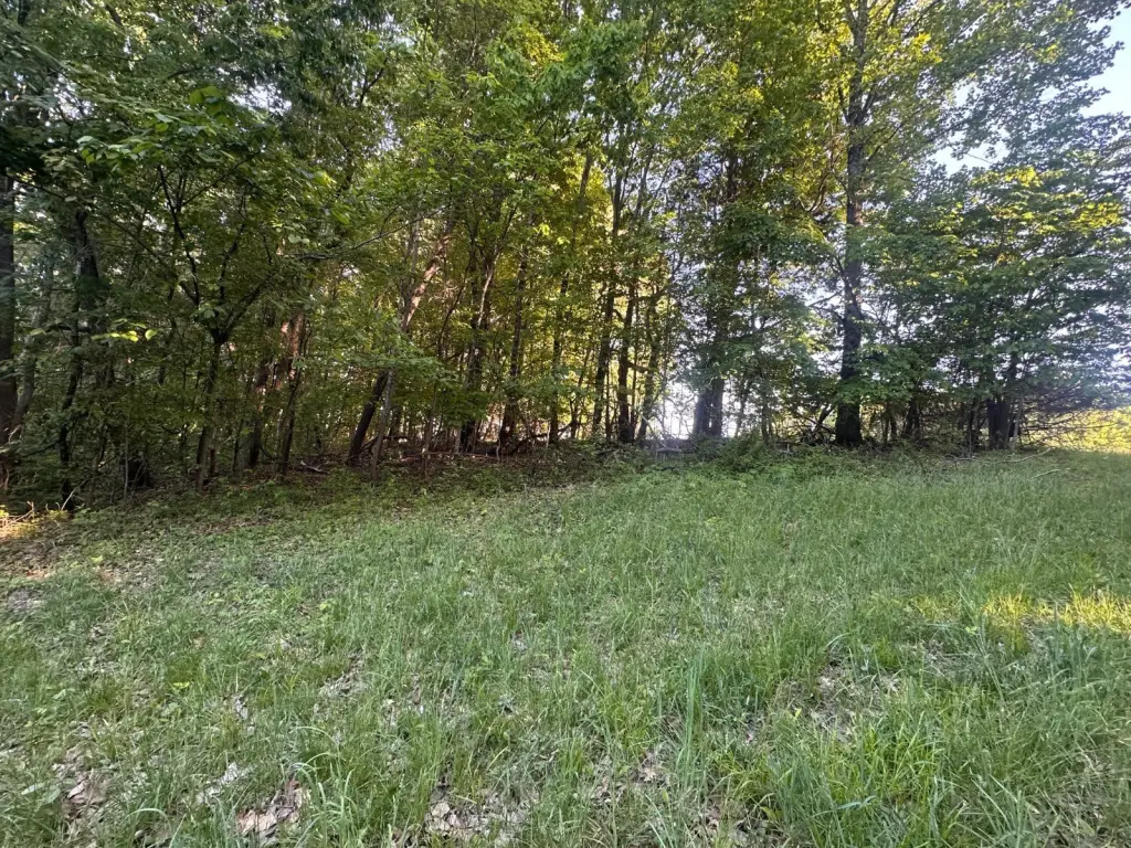 Picture 45