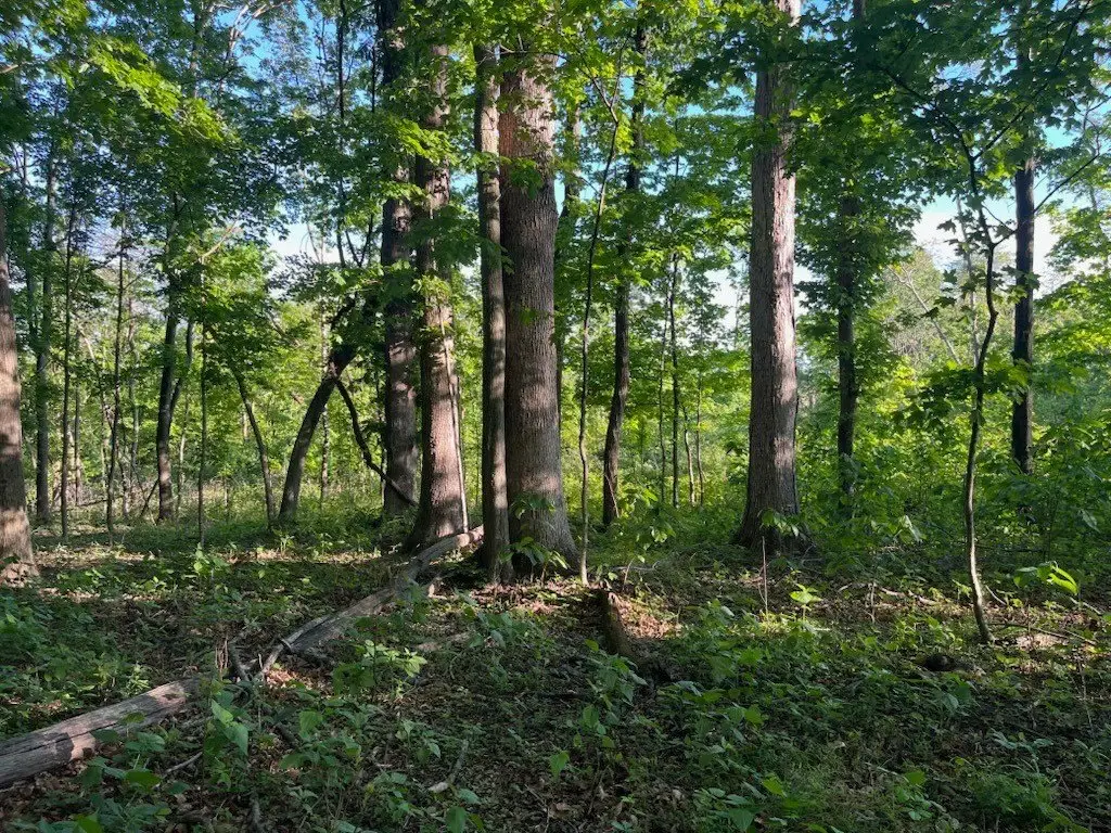 Picture 16