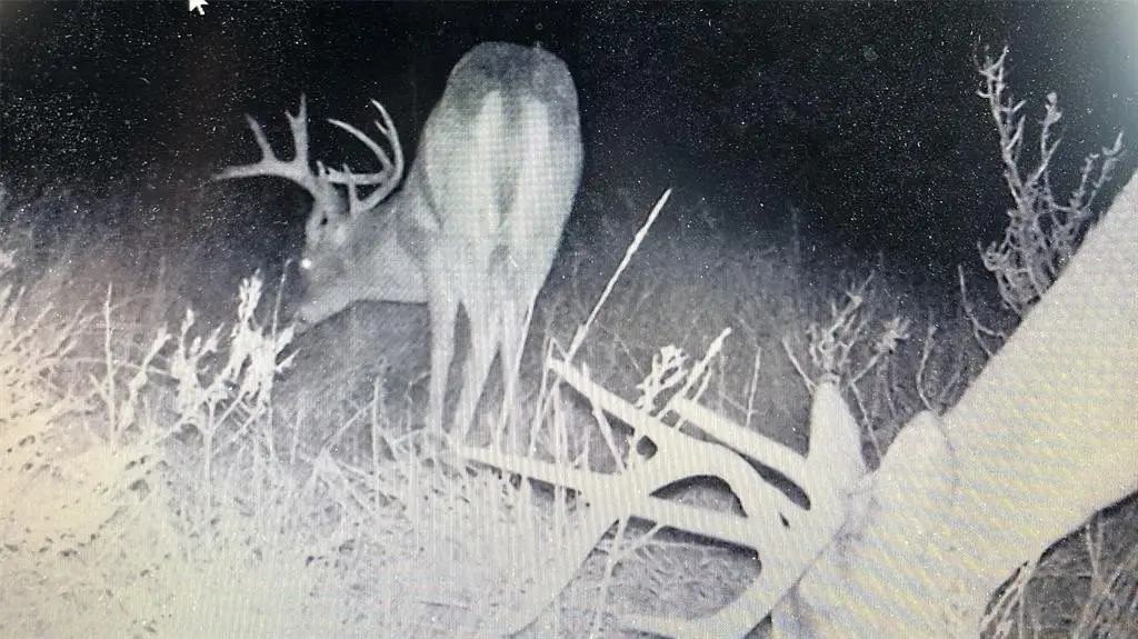 Picture 38