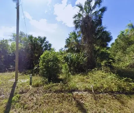 Waterfront Access Land in Georgetown, FL