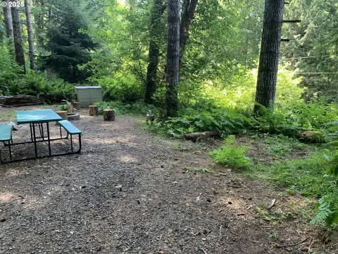 Wooded Lot with Lake Views