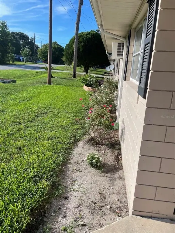 Picture 28