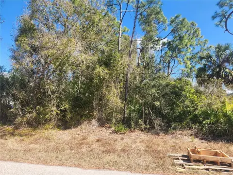 Residential Lot in Punta Gorda