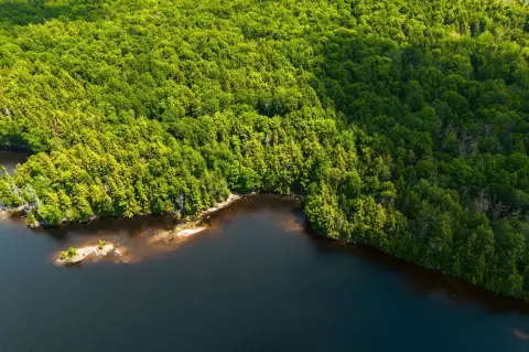 Waterfront Land With Private Beach