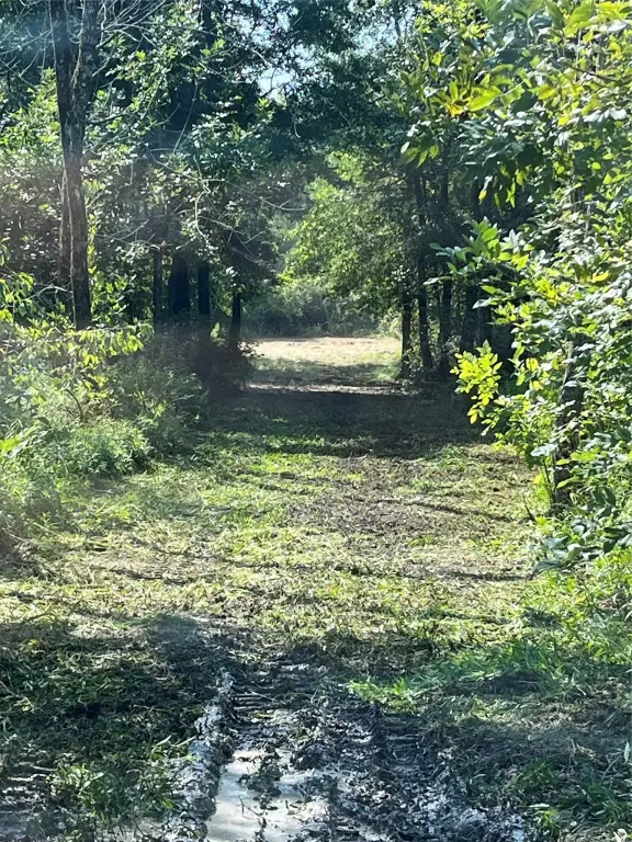 Picture 2