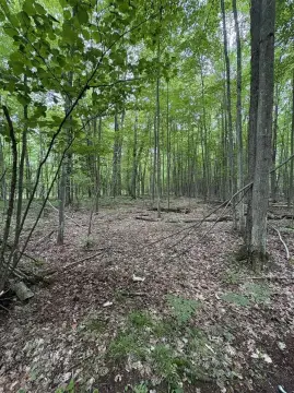 Hunting Land with Established Blinds