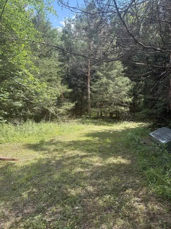 Picture 23