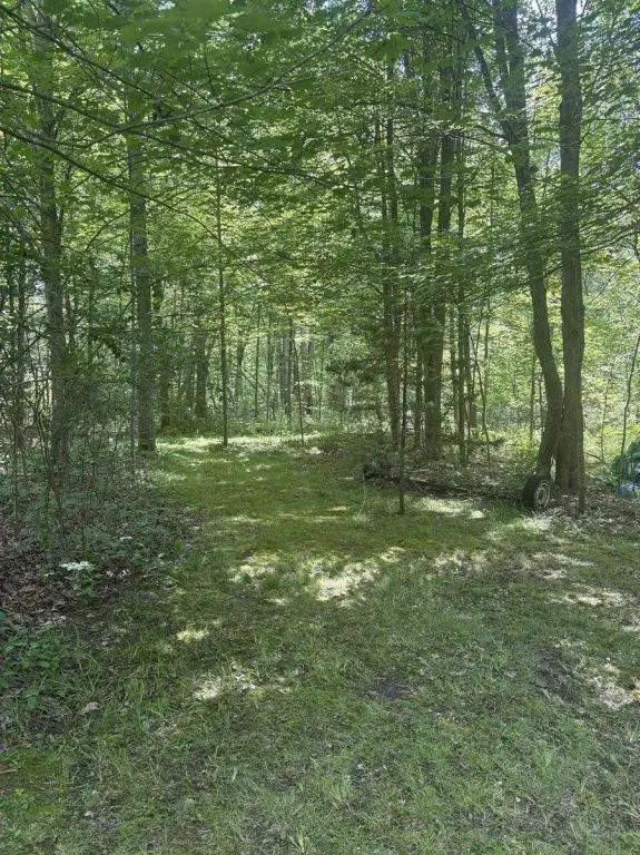 Picture 21