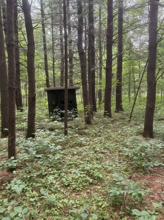 Picture 4