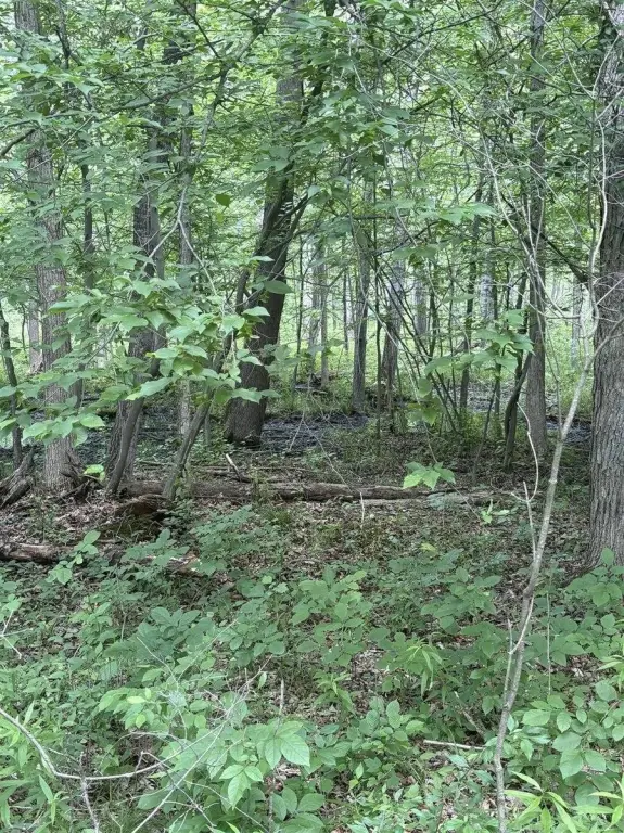 Picture 11