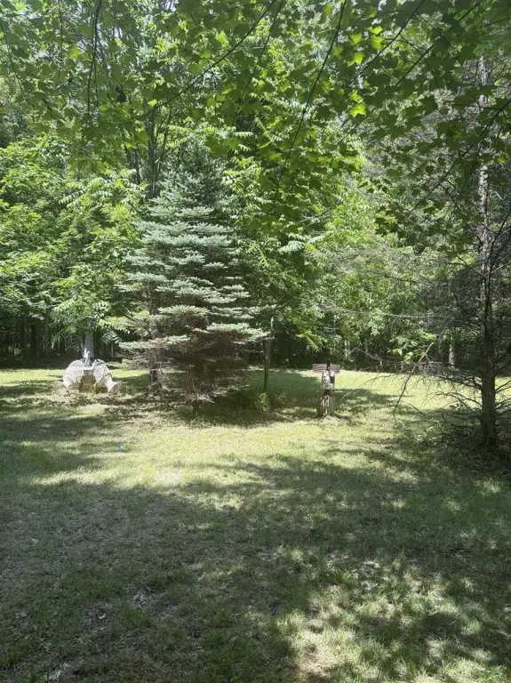 Picture 22