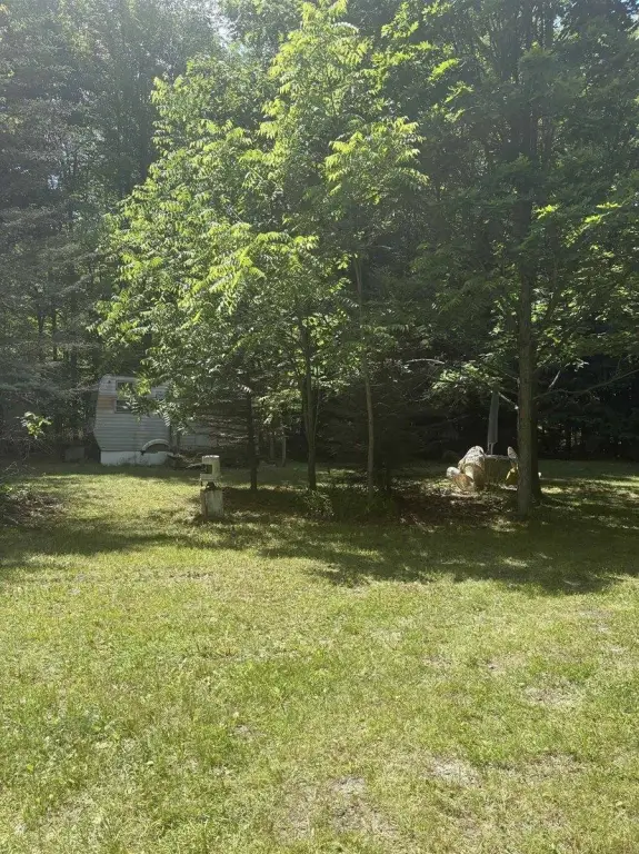 Picture 24
