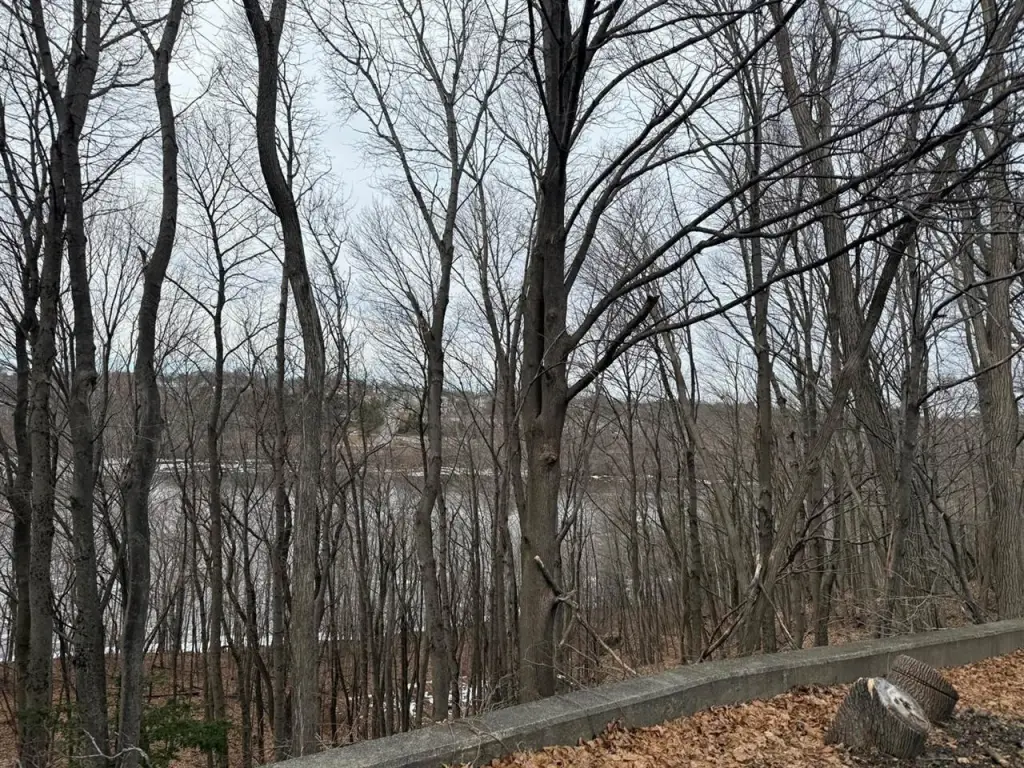 Picture 15