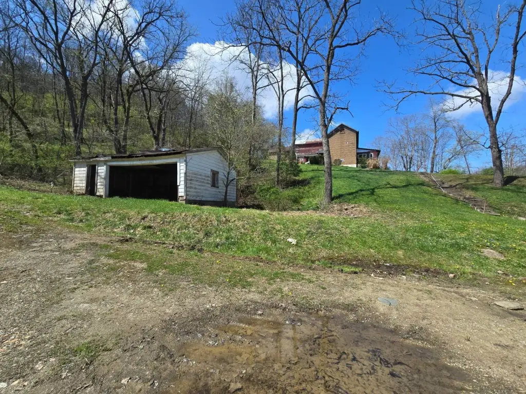 Picture 20