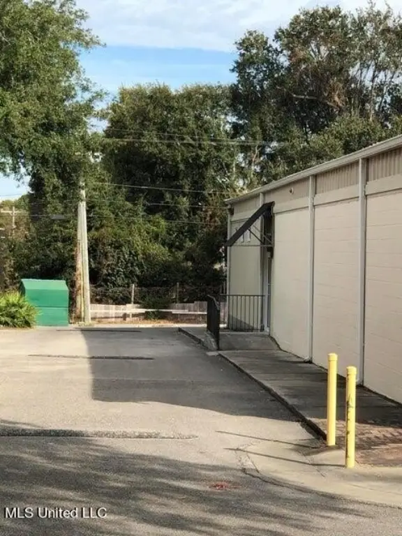 Picture 4