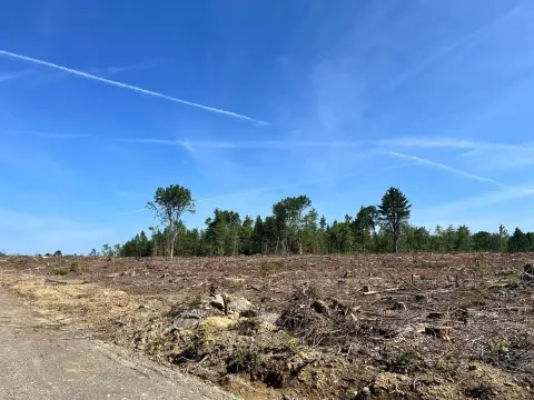 Levant Land for New Subdivision