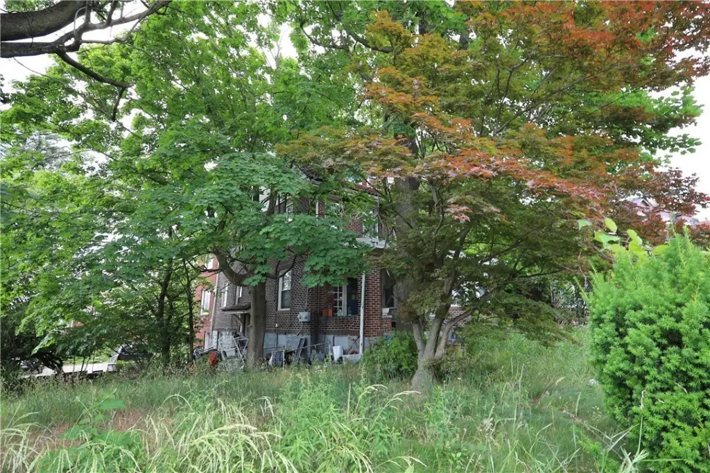 Picture 14