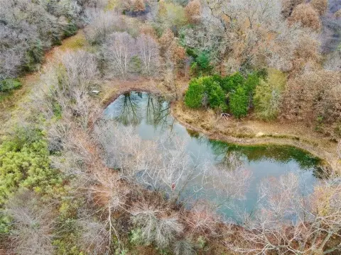 30+ Acres East Texas Sanctuary