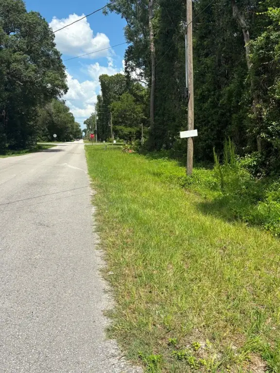 Picture 5