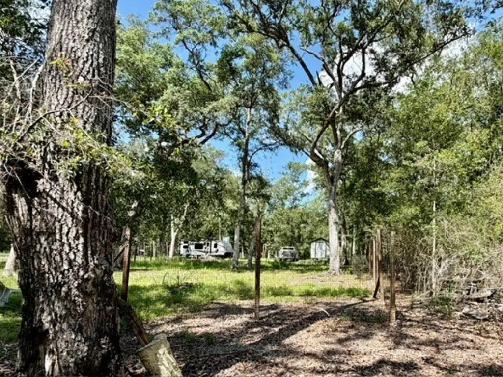 Picture 22