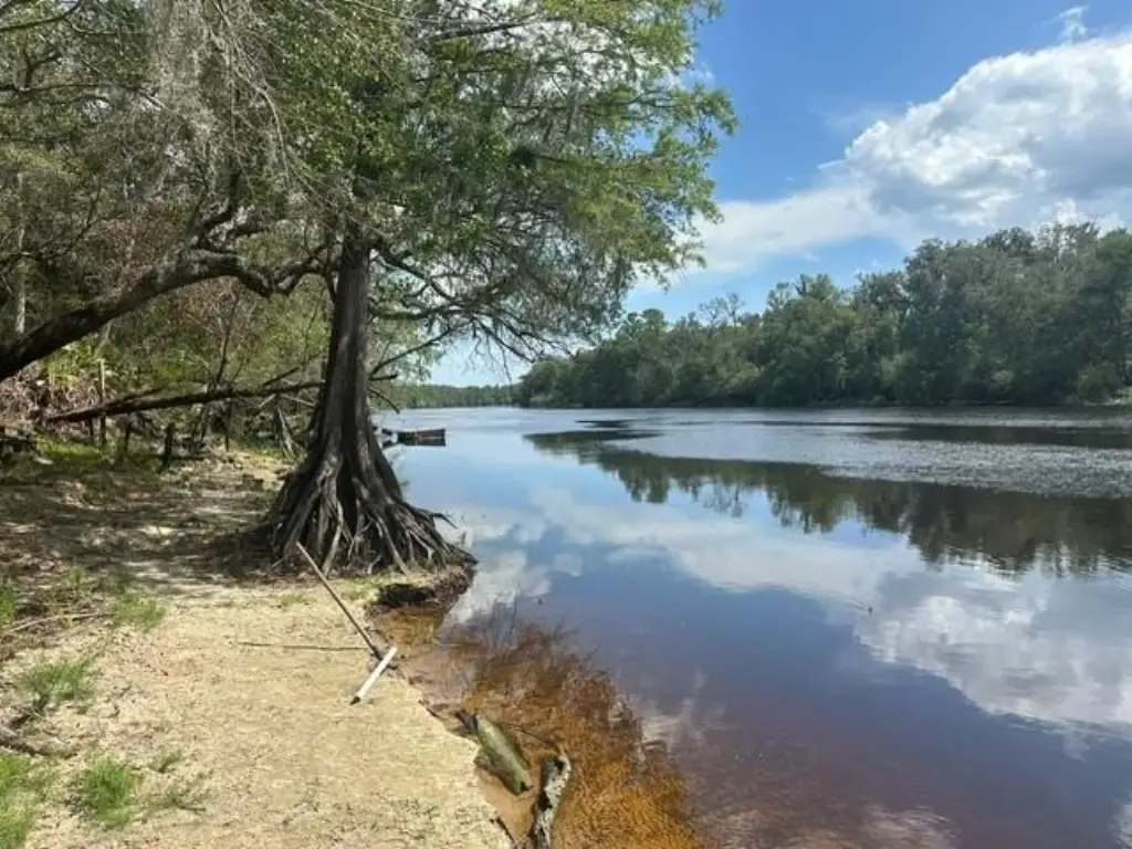Picture 28