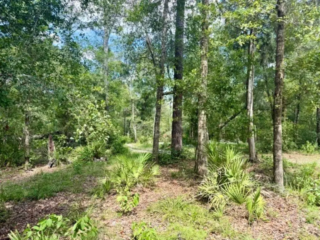 Picture 26