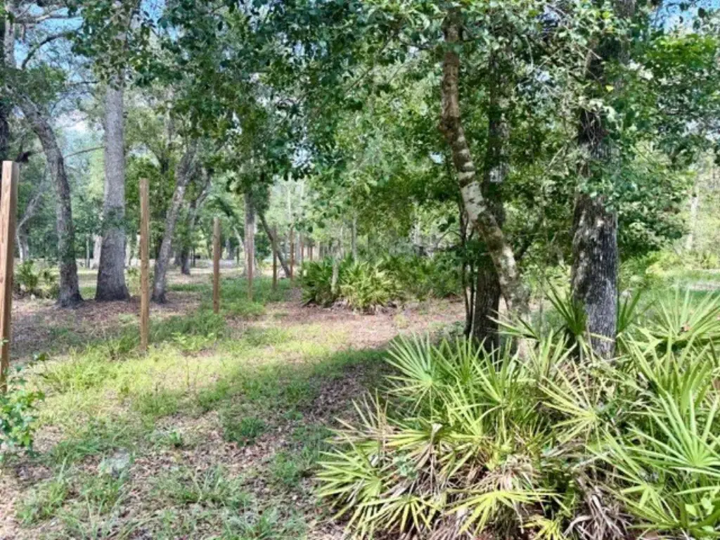 Picture 25