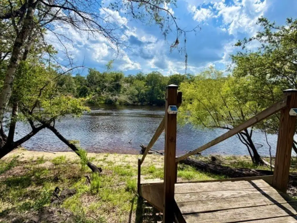 Picture 19