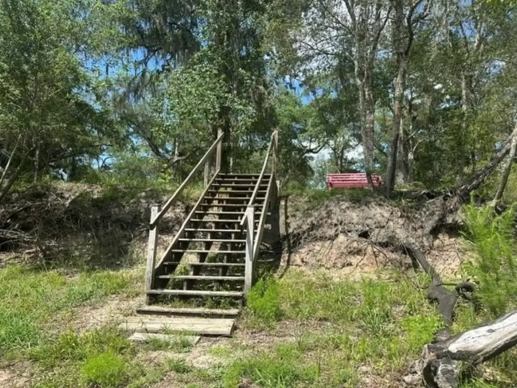 Picture 4
